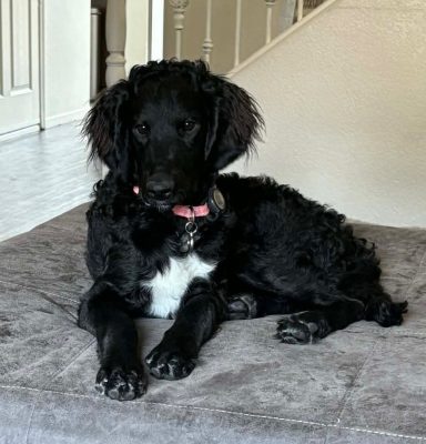 Congratulations Coco!
